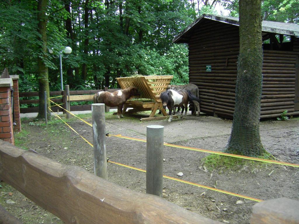 Rothers-Ferienwohnung Annaberg-Buchholz Buitenkant foto
